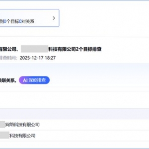保姆级教程：如何用AI快速排查围标串标？